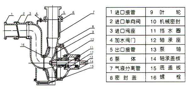 ZW型自吸式無堵塞排污泵(結(jié)構(gòu)圖)