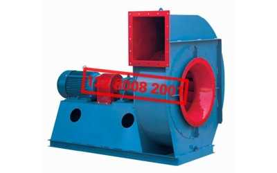 Y8-24ϵ�е�����偠t�x�����L(f��ng)�C(j��)